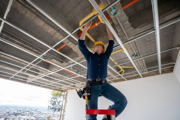Best Plumbing Repair Near Me  in Woodville, WI