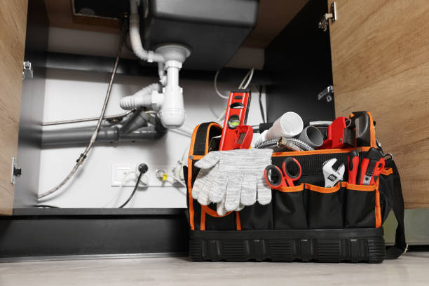 Best Sprinkler Systems  in Woodville, WI