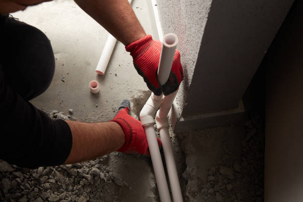Best Clogged Drain Plumber  in Woodville, WI