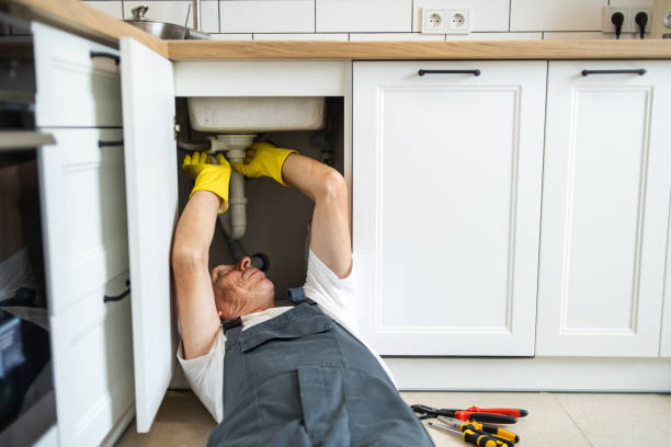 Best Septic Systems  in Woodville, WI