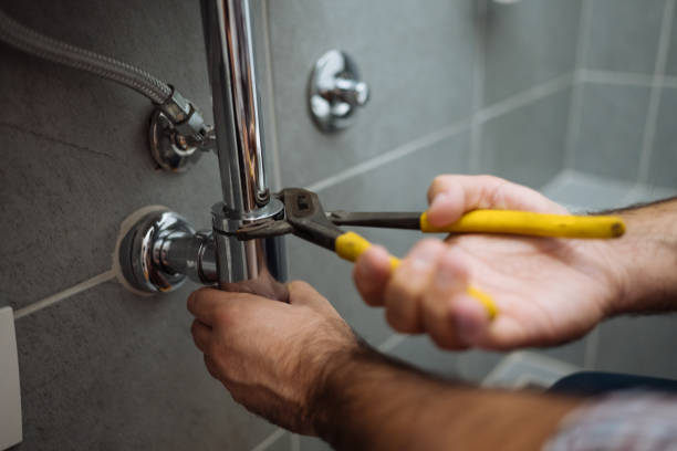 Best Clogged Drain Plumber  in Woodville, WI